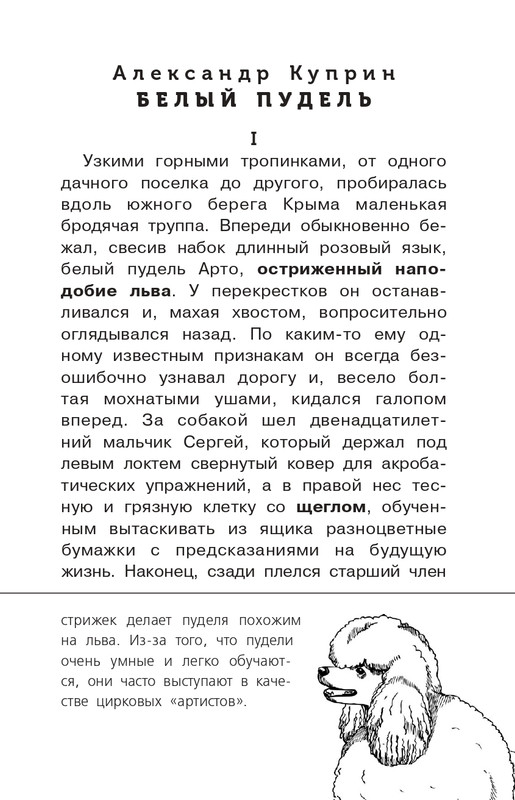 Chornyj-Sasha-Belyj-pudel-Dnevnik-foksa-Mikki-page-0011