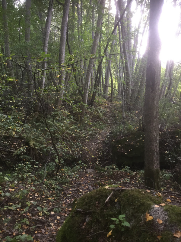 4446C7C0-7E1D-42AD-B9FB-6108E035CA49