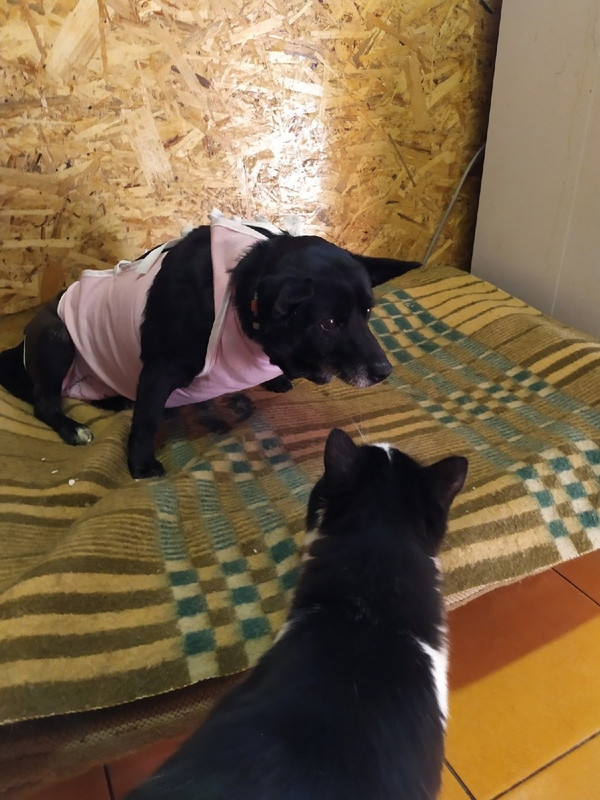 2836FC38-95A5-47AB-8B7E-CB47DA4D1BCB