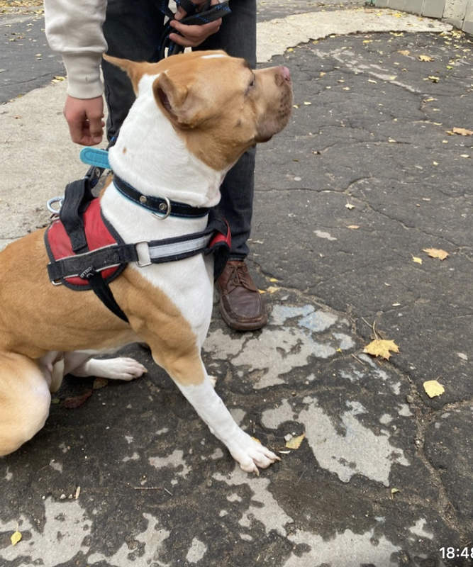 Снимок экрана 2024-10-28 в 20.20.01