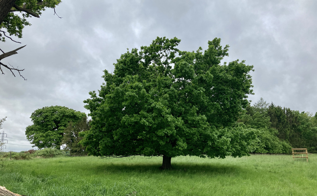 B6FE2B5C-AC15-4BED-96FB-235F0D11762B