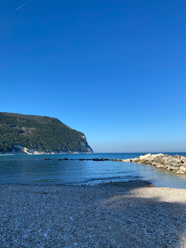 photo 2026 02 25 15 50 55