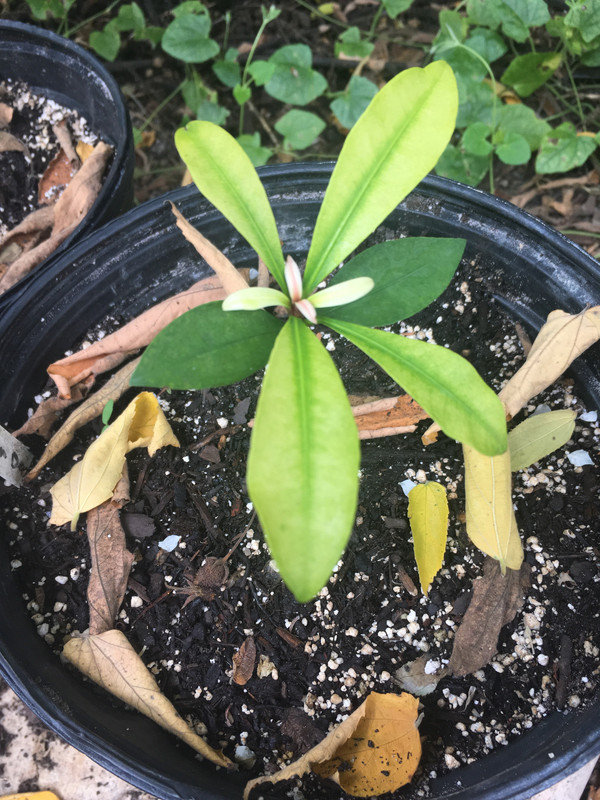 518FEABF-032D-44A0-88A4-B4BD8AAB2DA2