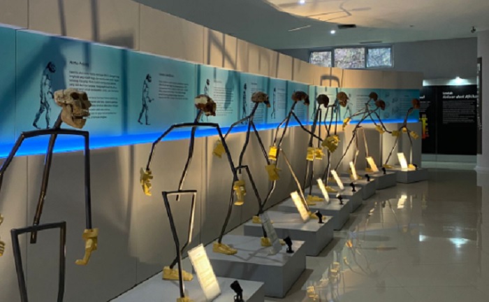 Ruang pamer di Museum Manusia Purba Klaster Bukuran, Sragen, Jawa Tengah.