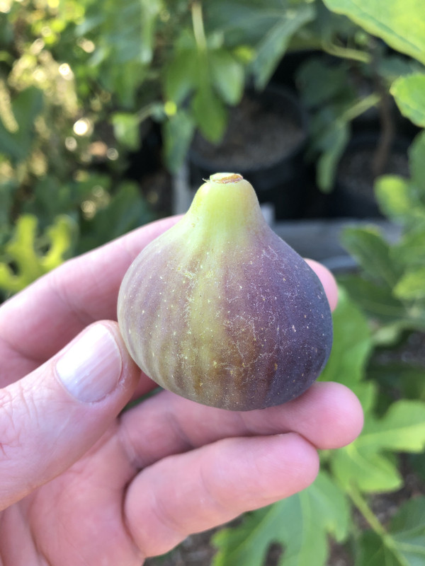 B3084EE9-8520-4F10-96AD-5AAFADCC98DE