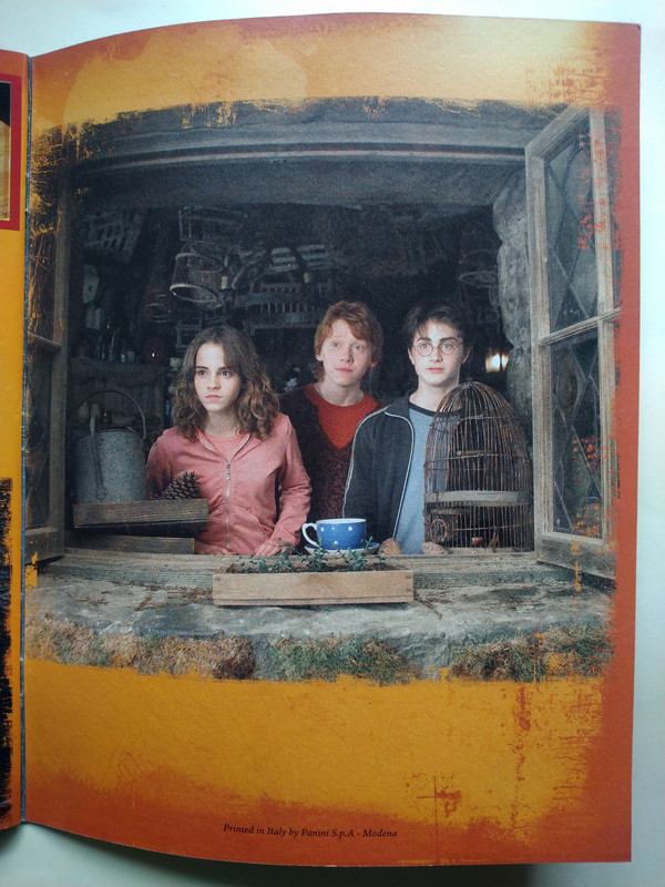 Web 067 MÁGICOMUNDOHP 2008 5