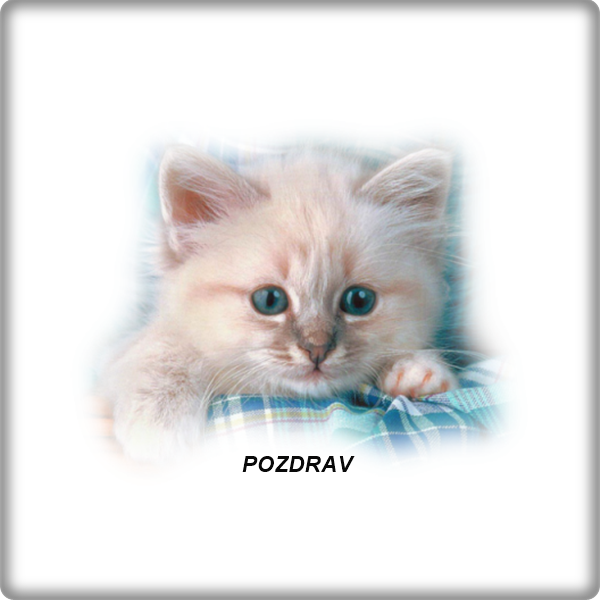 An den Beitrag angehängtes Bild: https://i.postimg.cc/kGMGcGwp/ddeb53cf4e-103097602-u.png