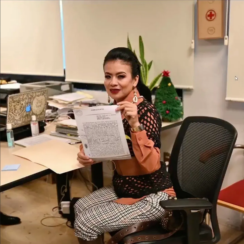 Norma Otilia Hernández, alcaldesa que se reunió con narco, va por escaño en el Senado