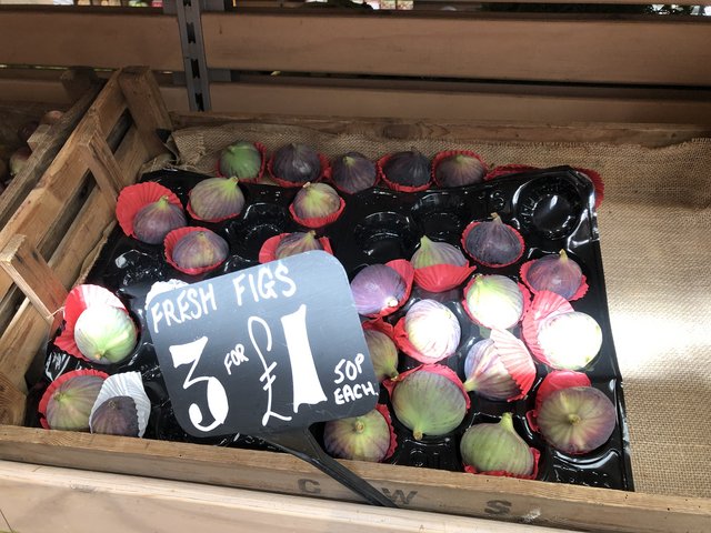 Dutchfigs13thsept2019.jpg