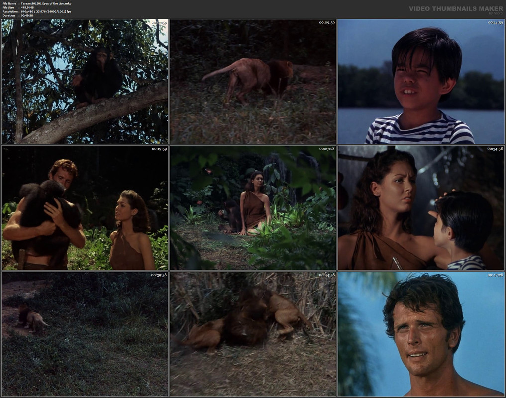 Tarzan S01E01 Eyes of the Lion.mkv