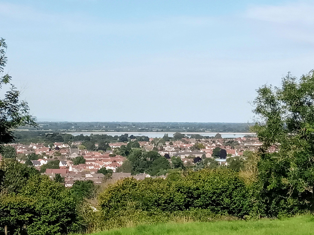 IMG_20200722_100110 (1)