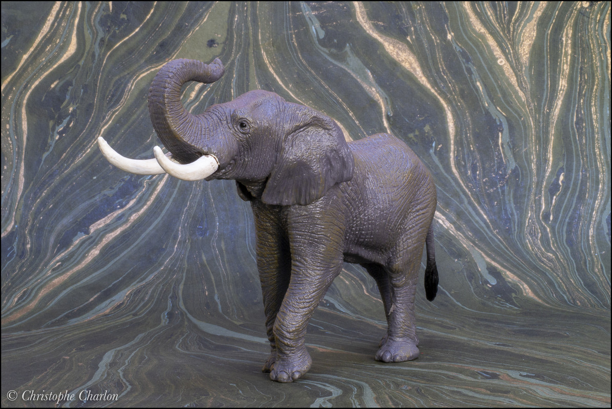 mojo - Mojo 2021 African elephant: a Walkaround by Kikimalou Mojo-381005-African-elephant-7