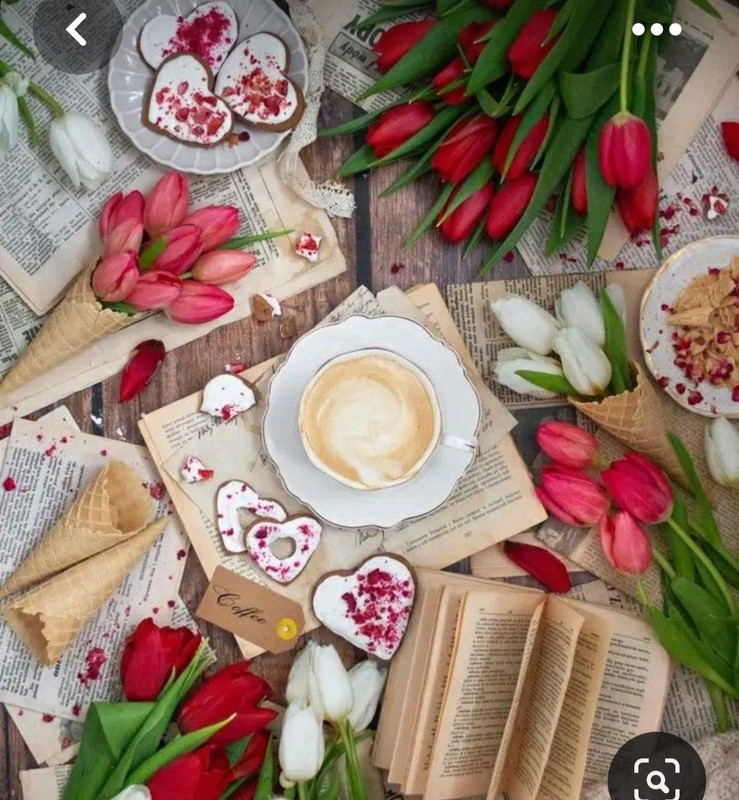 Screenshot_20230517_002454_Pinterest