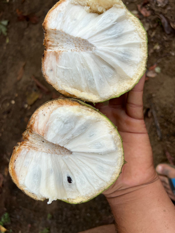 WhatsApp Image 2022-02-15 at 10.09.22 (1)