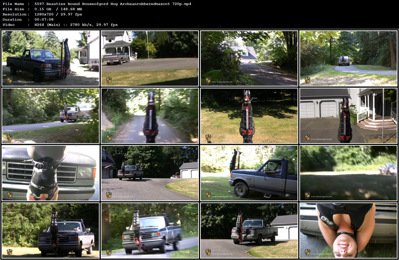 5597 Beauties Bound Houseofgord Hog Archeanrubberedmascot 720p mp4