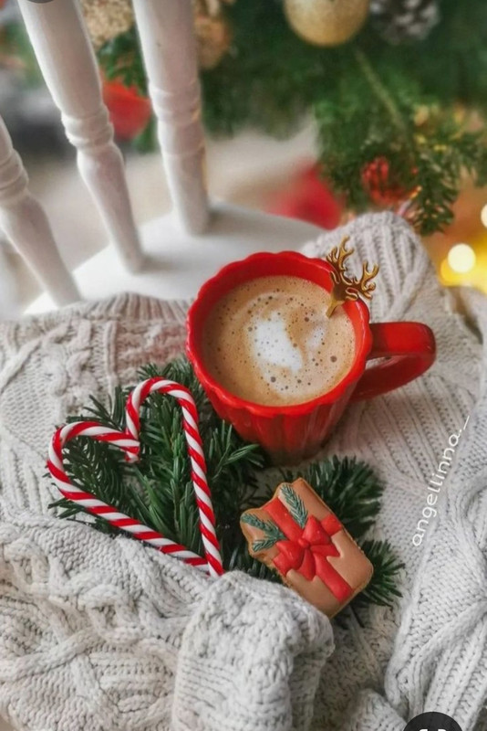 Screenshot_20231122_215950_Pinterest