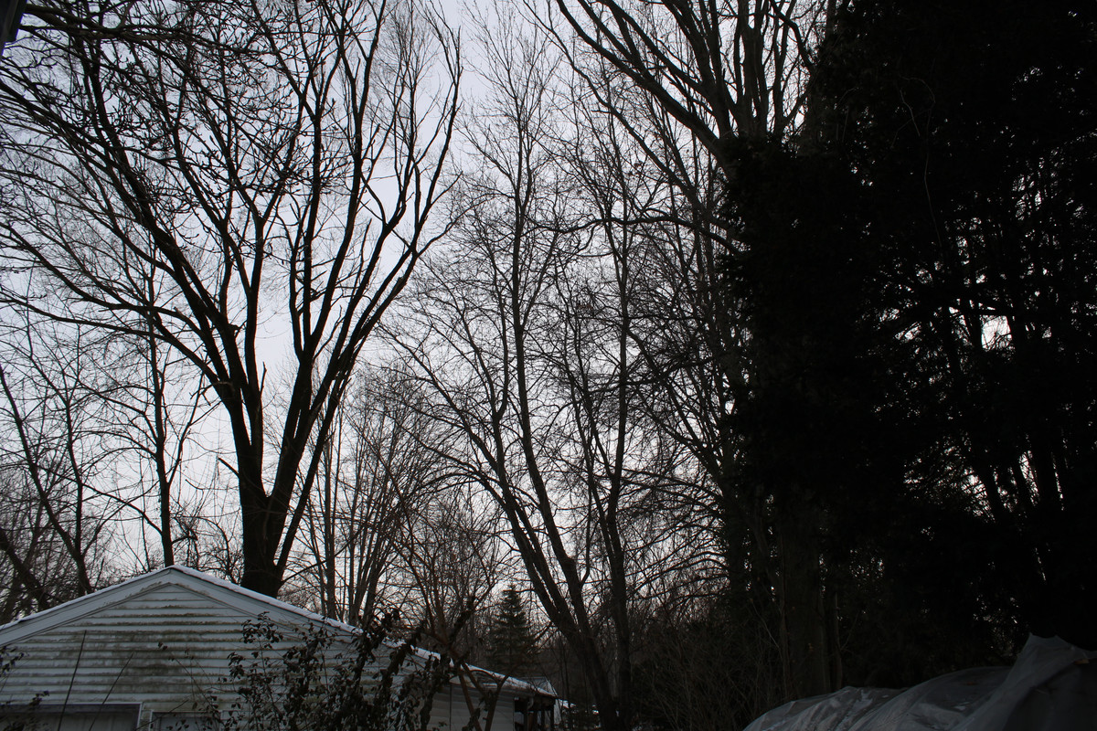 IMG-2809.jpg