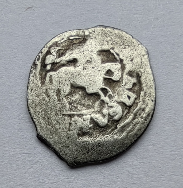 IMG_20250211_131431_edit_62719674530969 (1)