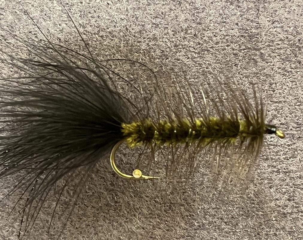 Olive Woolly Bugger