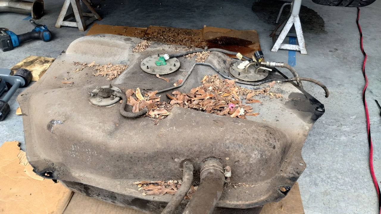 IMG_20240831_103139284_HDR