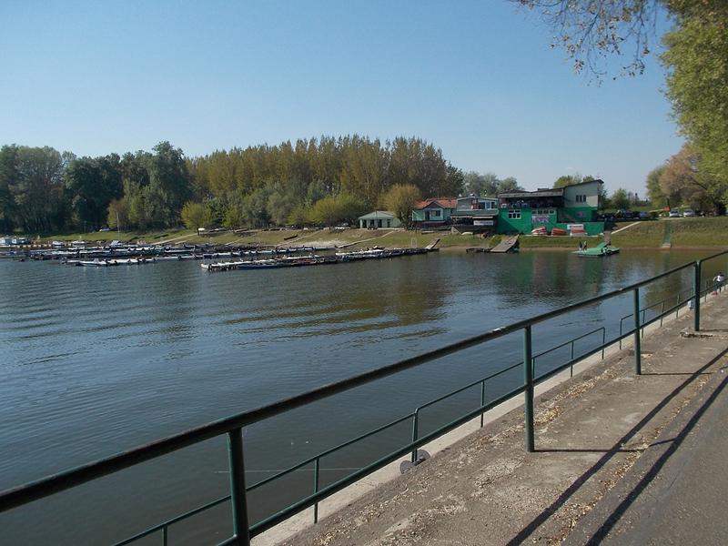 Slika