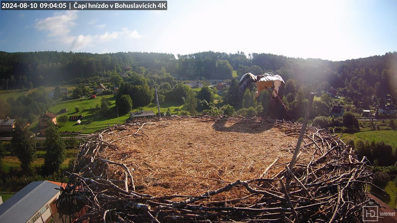 Tiešraidē no uzņēmuma KARA stārķa skursteņa Bohuslavicē pie Trutnovas 12-41-18 screenshot