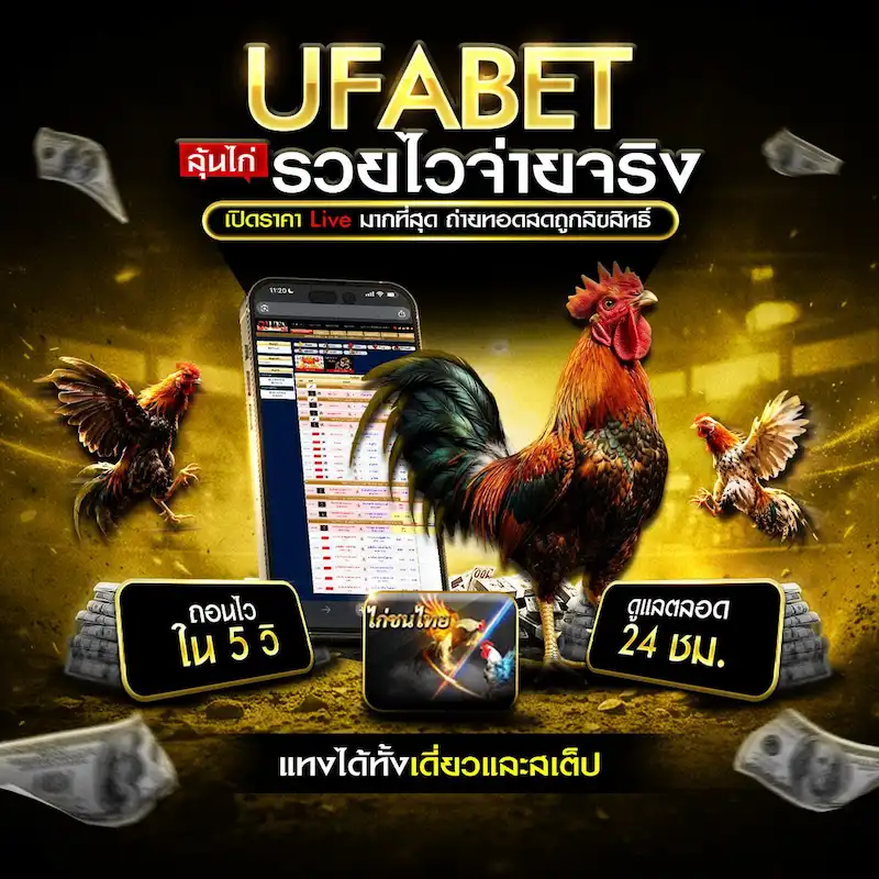 ดูไก่ชนสดทุกรายการ
