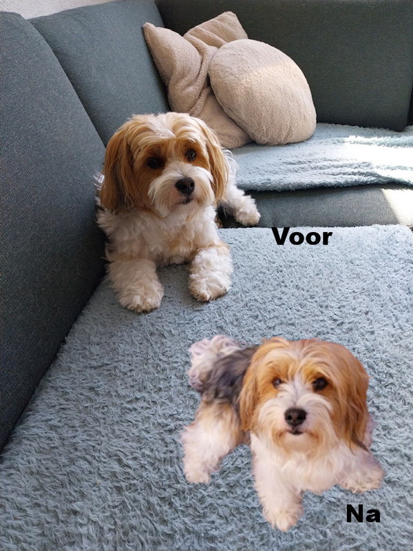 Afbeelding