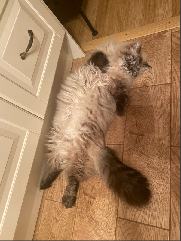 изображение_2025-01-23_153725736