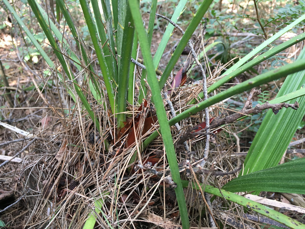 E6242EEE-168E-4516-8B9D-2653EFF10EBE