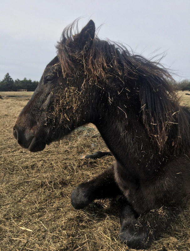 444A548C-27A0-4505-BA41-253D380953FA