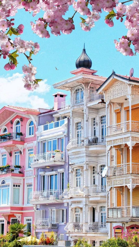 multi-houses-new.jpg