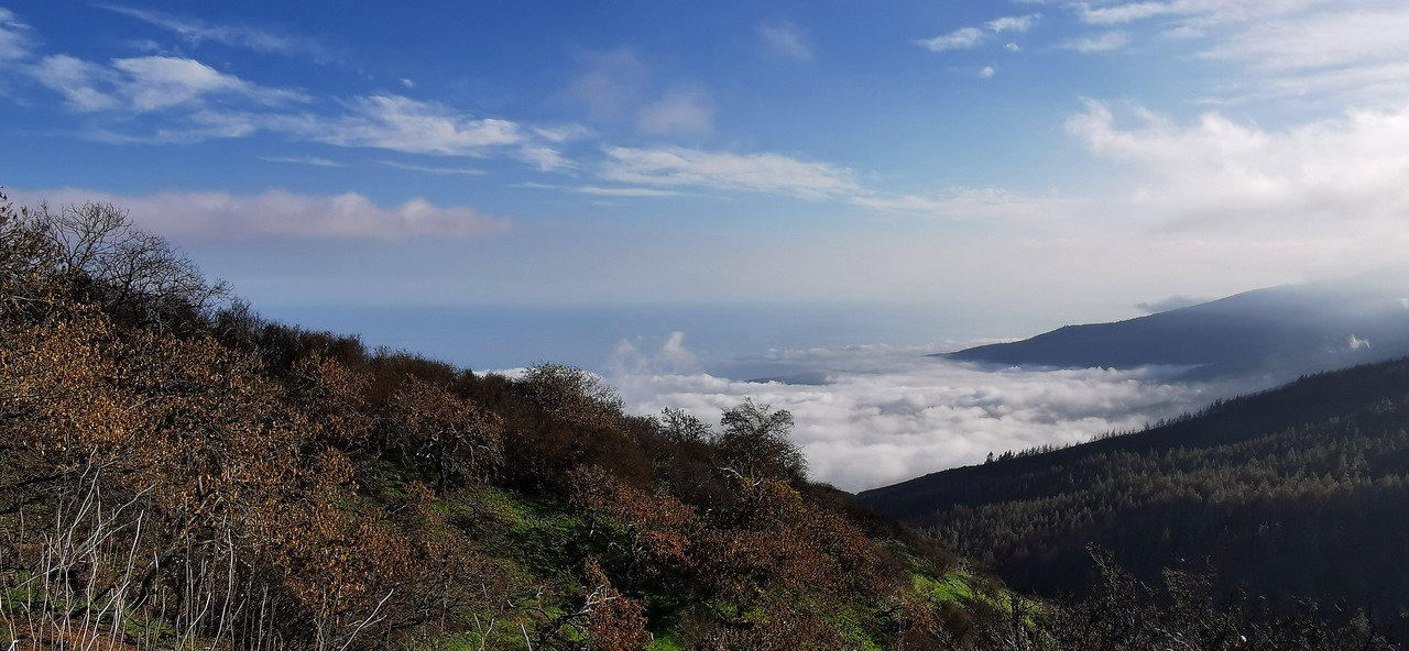 IMG_20240103_162603_edit_89475087985825