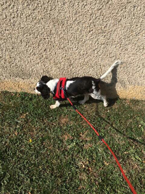 9D938DEC-137E-40DF-B5A9-2F04AA799D32