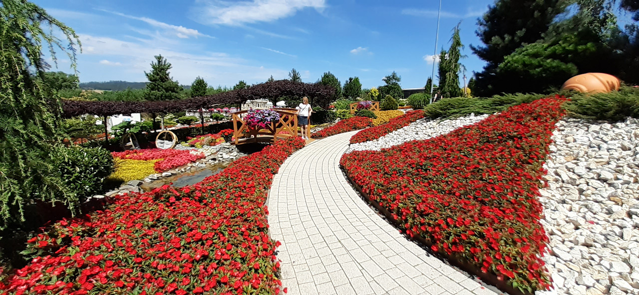 006 - 20200801_131336