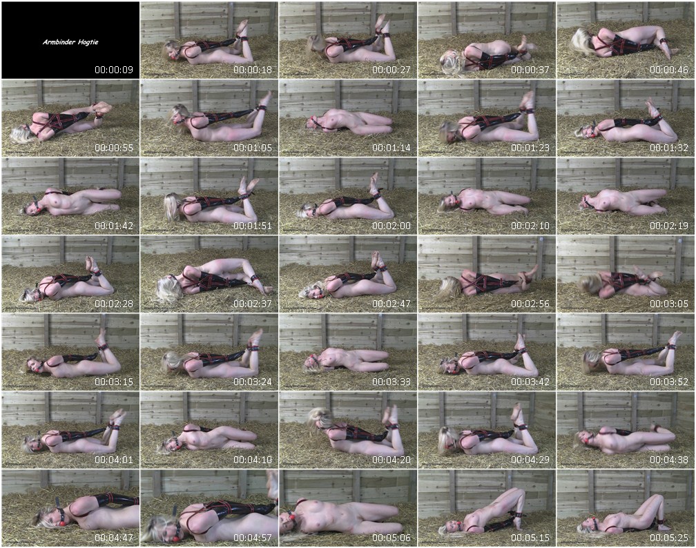 0970bd.wmv