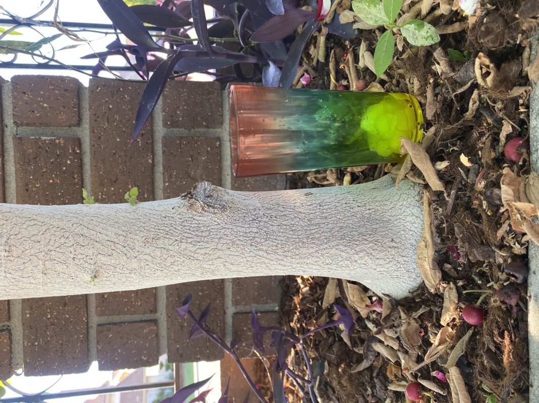 531CB3B3-CCF5-4F9D-BF99-BF68CB362031