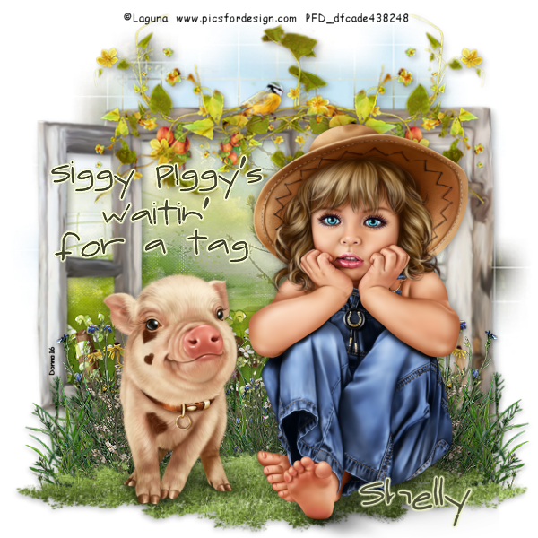 LagunaPiggyshelly_zpspm9xp6nn