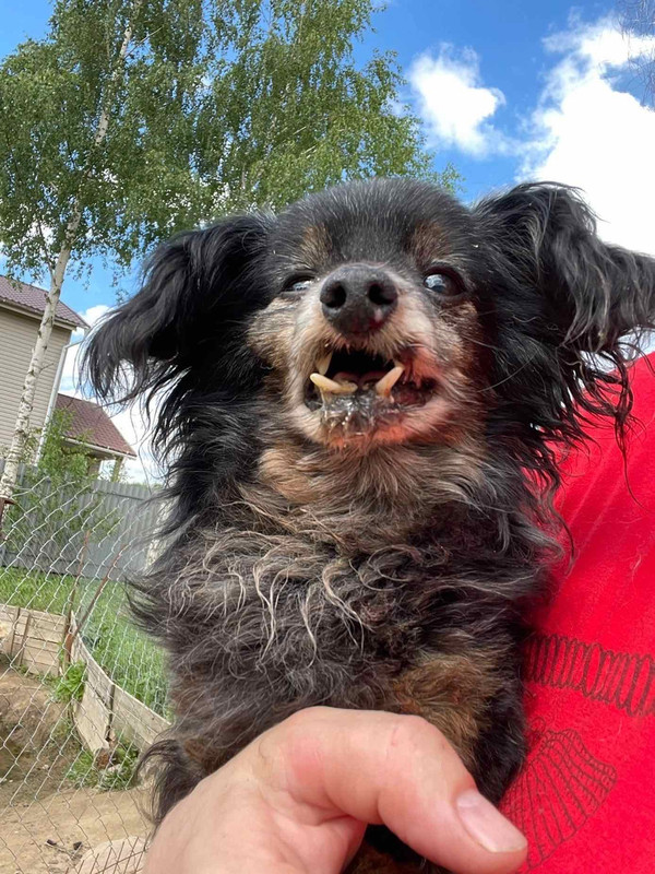 39677E3C-F016-4D72-BDA2-A3970BB9EA20