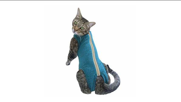 Produto FS Moda Pet 3
