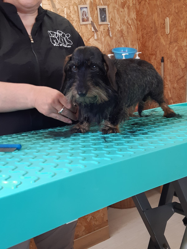 [Image: 20230606-101456.jpg]