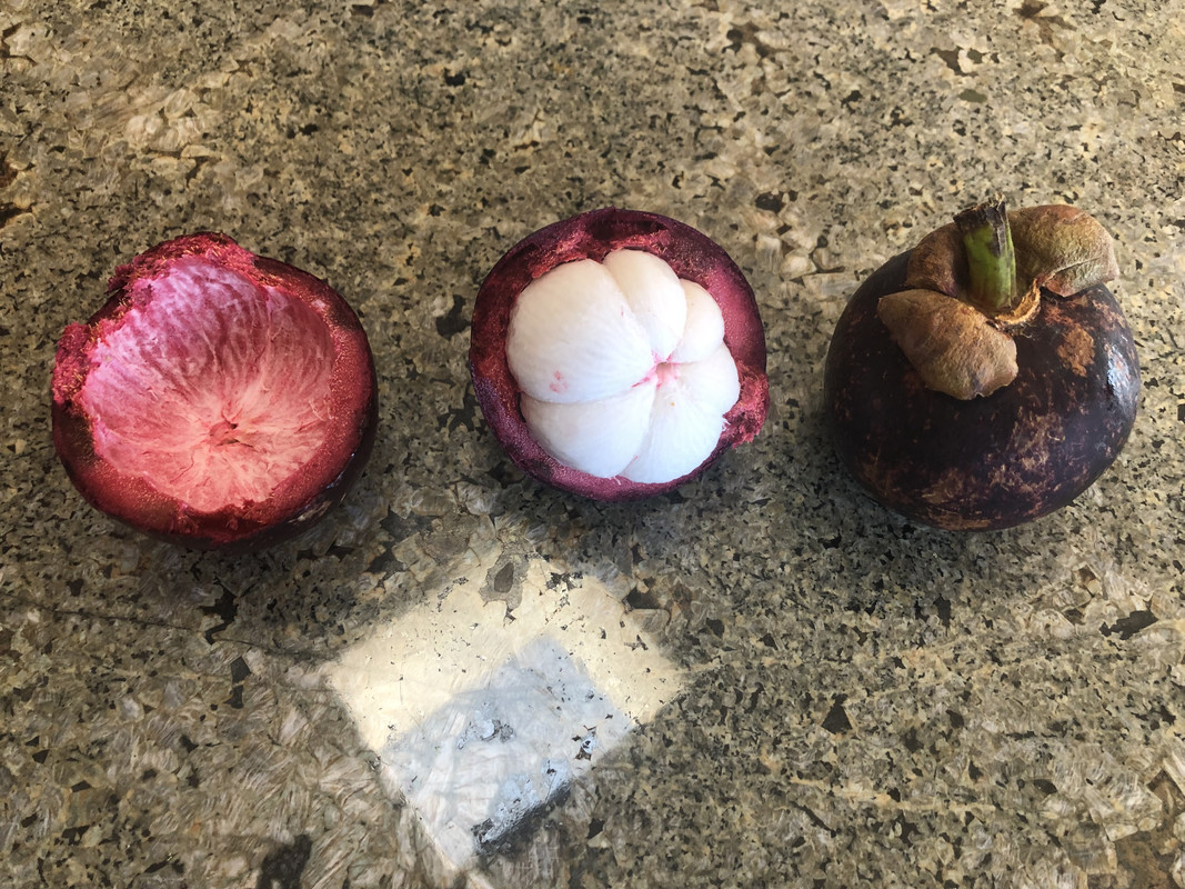 516A46FB-C200-4C46-9D08-CCE3AE66EC2C