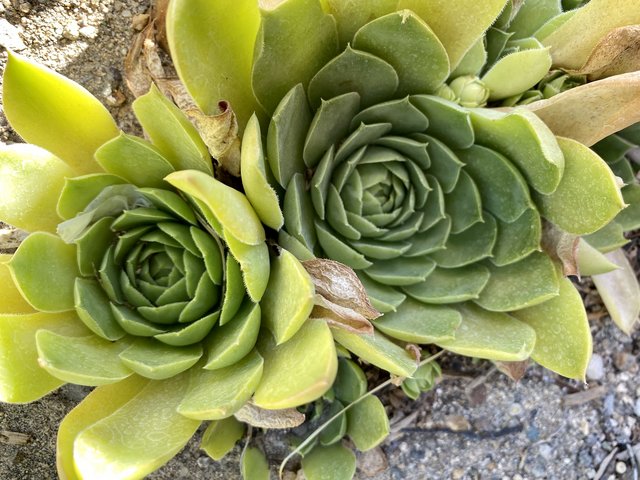 [Image: C988-E6-BF-6-C40-4-B8-A-8-EF8-7-F49-FD8-F8-F3-A.jpg]