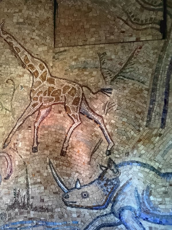 https://i.postimg.cc/kGQmhxzL/44-IMG-20250704-183454.jpg
