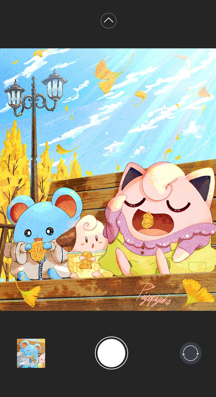 jigglypuff-marill-magikarp-and-cleffa-po