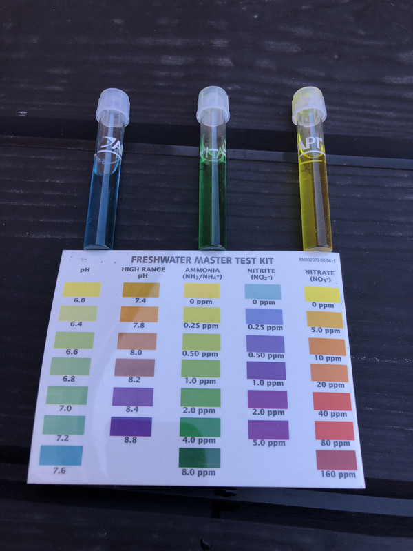 00734596-5423-494B-821D-0993003EBF71