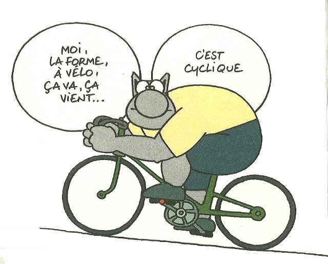 Le chat déambule - OnVaSortir! Caen
