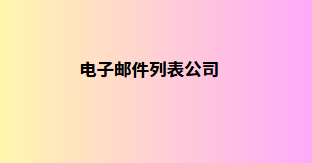 电子邮件列表公司