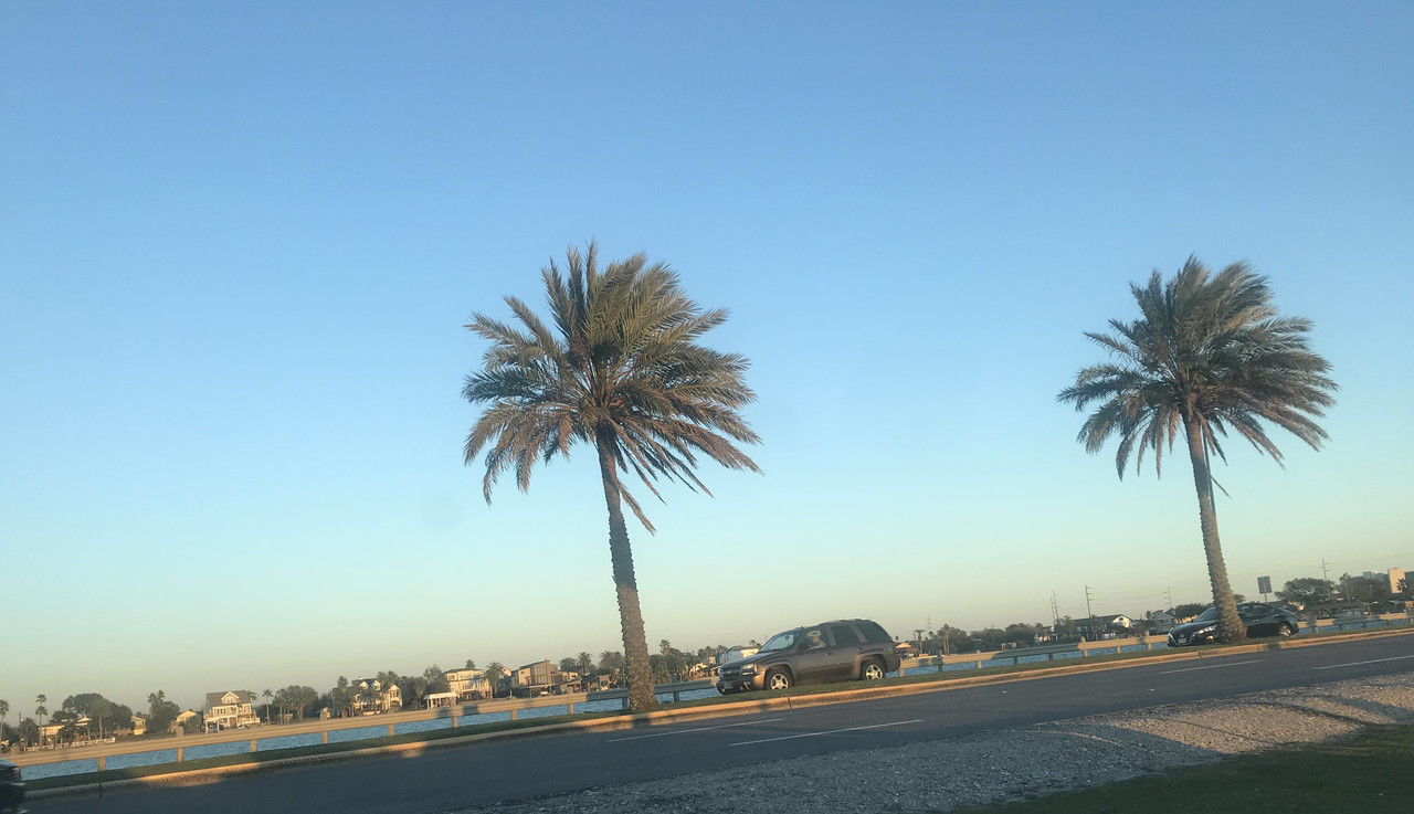 [Image: E9-F1-FB83-BDD0-4498-BCEA-6-A5-D8-B228388.jpg]