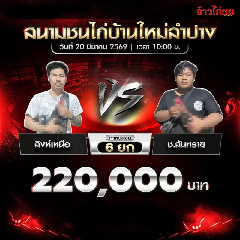 โปรแกรมไก่ชน คู่สิงห์เหนือ vs ช.สันทราย สนามชนไก่บ้านใหม่ลำปาง